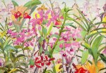 Orchidea II: watercolors on arches paper 4’x6’