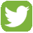 Twitter icon